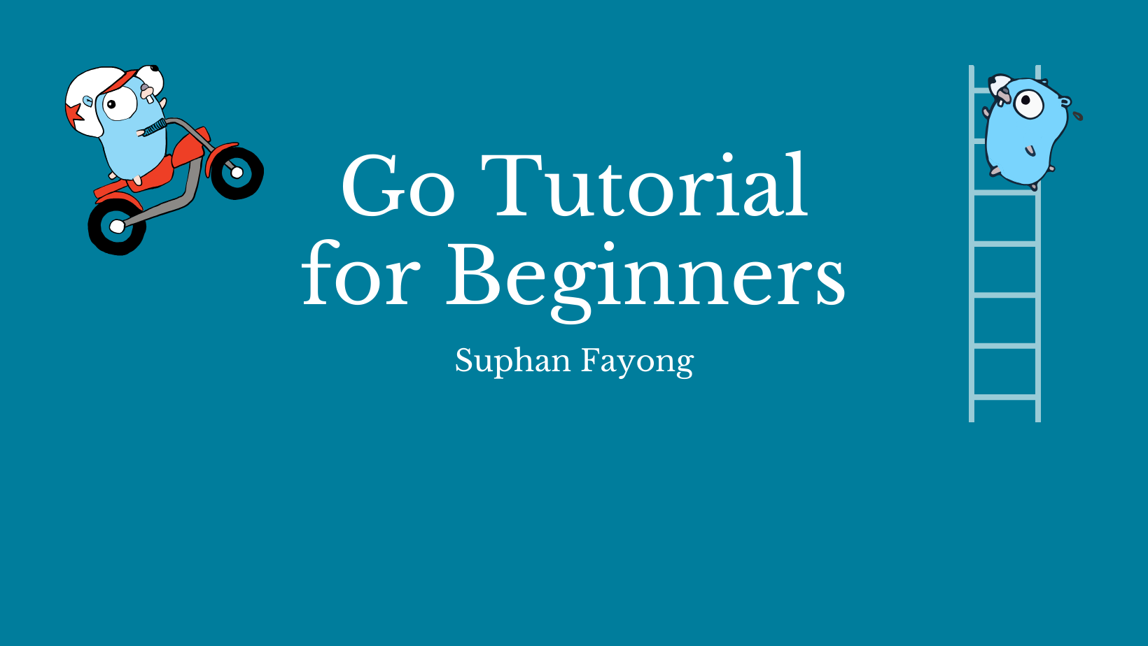 Go Tutorial for Beginners GO101